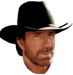 Chuck Norris picture